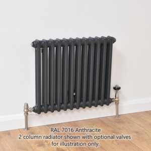 NF2-A-H-LS00 - Infinity Anthracite 2 Column Radiator 6 Sections H550mm X W300mm