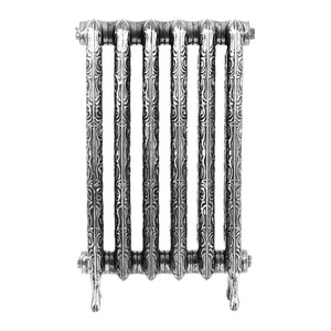 AR-RA750F-2-ALT00 - Arroll Art Nouveau 2 Column Cast Iron Radiator H754mm X W2770mm