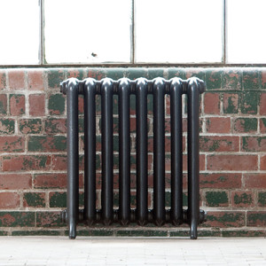 AR-RP760-2-LS02 - Arroll Princess 2 Column Cast Iron Radiator H748mm x W262mm