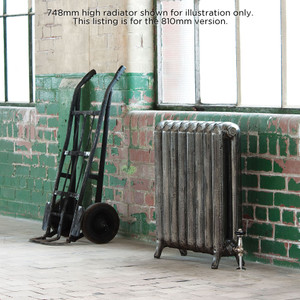 AR-RP810-2-LS01 - Arroll Princess 2 Column Cast Iron Radiator H810mm x W262mm