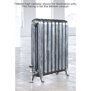 AR-RP810-2-LS03 - Arroll Princess 2 Column Cast Iron Radiator H810mm x W262mm