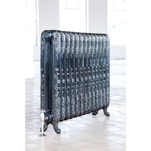 AR-FR765-2-LS01 - Arroll Sunflower 2 Column Cast Iron Radiator H759mm x W804