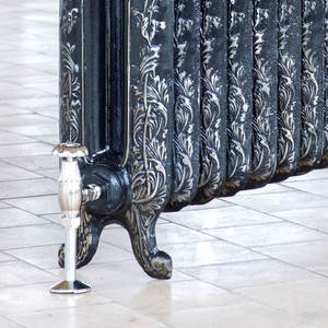 AR-FR765-2-CU01 - Arroll Sunflower 2 Column Cast Iron Radiator H759mm x W944