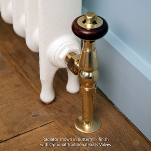 CA-ET765-CU01 - Carron Eton Narrow 1 Column Cast Iron Radiator H765mm x W184mm