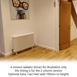 AP-2-LS01 - Apollo Roma 2 Column Horizontal Radiator H600mm x W398mm