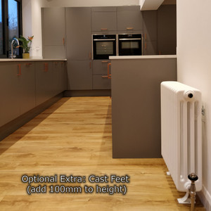 AP-4-LS04 - Apollo Roma 4 Column Horizontal Radiator H300mm x W996mm