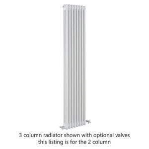 RE-2-C1800-ALT00 - Reina Colona White 2 Column Radiator H1800mm x W200mm