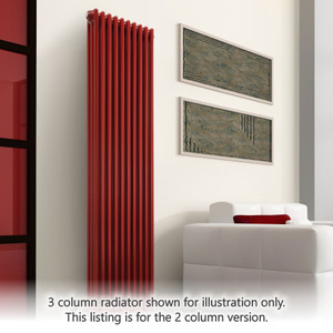 DQ-MD2-V-LS00 - DQ Modus Colour Choice 2 Column Horizontal Radiator H450mm x W162mm