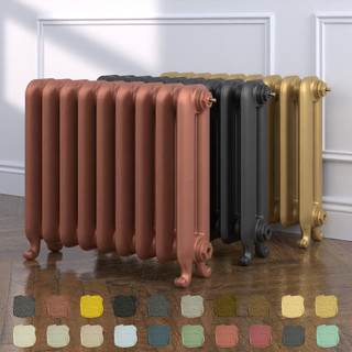 Harcourt 2 Column Cast Iron Radiator H570mm x W249mm