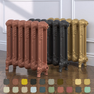 Winchester 2 Column Cast Iron Radiator H540mm x W313mm