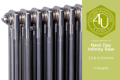 Next Day Infinity Raw