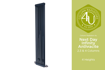 Next Day Infinity Anthracite