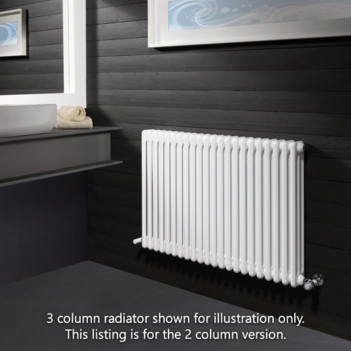 NF2-W-H-LS00 - Infinity White 2 Column Radiator 10 Sections H550mm X W484mm