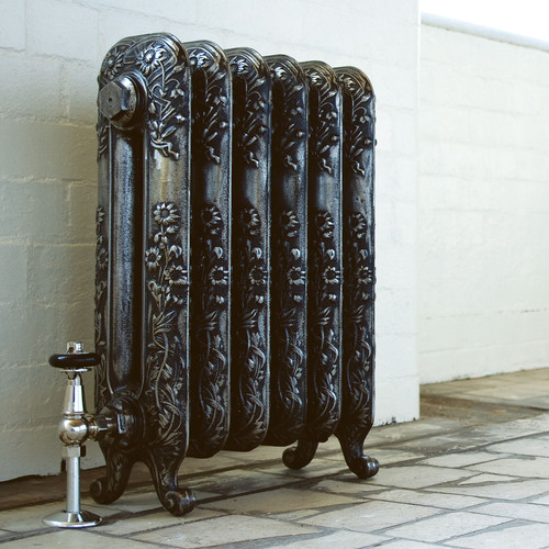AR-PRC590-2-LS00 - Arroll Daisy 2 Column Cast Iron Radiator H597mm x W294mm