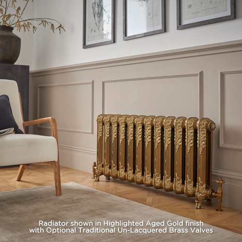 PA-SHAF-740-LS00 - Paladin Shaftsbury 2 Column Cast Iron Radiator H740mm x W3100mm