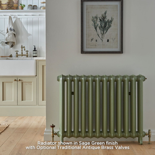 PA-SLO-750-LS00 - Paladin Sloane 2 Column Cast Iron Radiator H750mm x W417mm