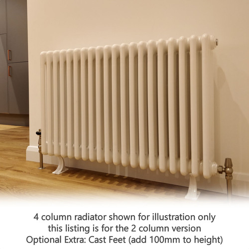 AP-2-LS00 - Apollo Roma 2 Column Horizontal Radiator H500mm x W582mm