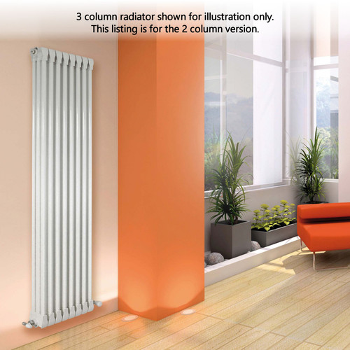 AP-AL2-V-LS00 - Apollo Monza 2 Column Aluminium Radiator H1270mm x W388mm