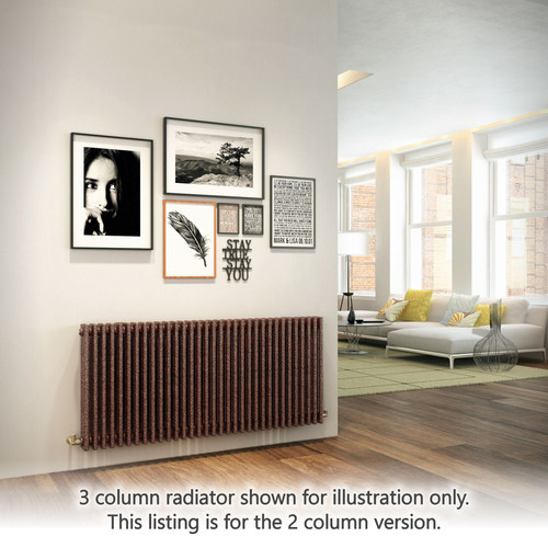DQ-MD2-H-LS00 - DQ Modus 2 Column Horizontal Radiator H350mm x W944mm