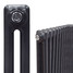 NF2-A-MET-ALT00 - Infinity Anthracite 2 Column Radiator 3 Sections H600mm X W162mm NF2-A-MET-ALT00 - Infinity Anthracite 2 Column Radiator 3 Sections H600mm X W162mm