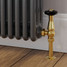 T-TRV-068-AG-B-PIP-LS01 - Jarrow Traditional TRV Angled Brass Thermostatic Radiator Valves T-TRV-068-AG-B-PIP-LS01 - Jarrow Traditional TRV Angled Brass Thermostatic Radiator Valves