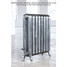 AR-RP810-2-LS03 - Arroll Princess 2 Column Cast Iron Radiator H810mm x W1630mm AR-RP810-2-LS03 - Arroll Princess 2 Column Cast Iron Radiator H810mm x W1630mm
