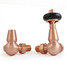 T-TRV-020-CR-BC-ALT00 - Flatford Traditional TRV Corner Brushed Copper Radiator Valves With Sleeves T-TRV-020-CR-BC-ALT00 - Flatford Traditional TRV Corner Brushed Copper Radiator Valves With Sleeves