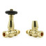 T-TRV-077-ST-UB-ALT03 - Jarrow Traditional TRV Straight Unlacquered Brass Thermostatic Radiator Valves T-TRV-077-ST-UB-ALT03 - Jarrow Traditional TRV Straight Unlacquered Brass Thermostatic Radiator Valves