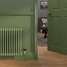 CT2-C-500-RESEDA-GREEN-LS01 - Classic Green 2 Column Radiator H500mm x W622mm CT2-C-500-RESEDA-GREEN-LS01 - Classic Green 2 Column Radiator H500mm x W622mm