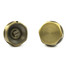 A-AV-514-BP-AB-ALT00 - 1/2 Inch Radiator Air Vent & Blanking Plug Antique Brass A-AV-514-BP-AB-ALT00 - 1/2 Inch Radiator Air Vent & Blanking Plug Antique Brass