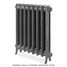 PA-LOU-760-ALT00 - Paladin Louis 2 Column Cast Iron Radiator H760mm x W322mm PA-LOU-760-ALT00 - Paladin Louis 2 Column Cast Iron Radiator H760mm x W322mm