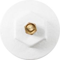 White Paint cast iron radiator example. Click to enlarge Satin White Paint cast iron radiator example