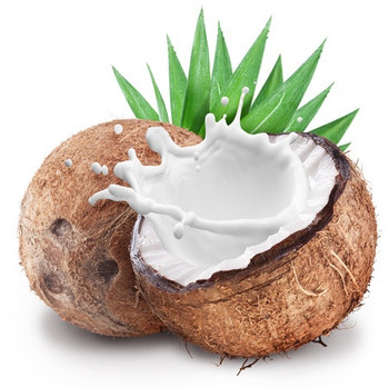Coconut Flavor Coconut Flavor