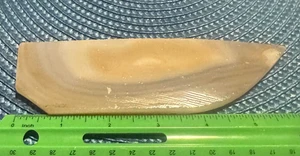 cooked agate preshape #2A