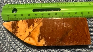 Pok a dot agate preshape