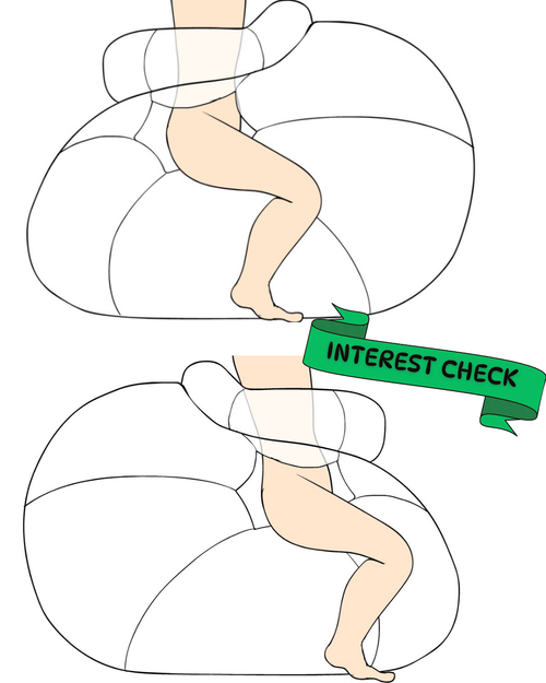 ✅Interest Check✅- Reversible  Bouncy Seat