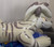 In Stock! PREOWNED- Inflatable HP Hyena Suit