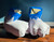 DISCOUNTED Gen 2 - Inflatable Pup Feet (blue)