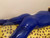 (K) Made to Order- Reinforced NONinflatable PVC Catsuit (SU03 or SU04)