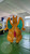 IN STOCK- Squeak's Private Collection- Double-layered inflatable PVC Orange Dragon Suit