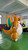 IN STOCK- Squeak's Private Collection- Double-layered inflatable PVC Orange Dragon Suit
