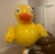 Inflatable Duck Suit- IN STOCK