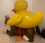 Inflatable Duck Suit- IN STOCK
