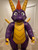 Made to Order- Purple and Yellow Dragon Suit
