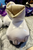 IN STOCK Gen 2 - Inflatable Pup Feet