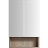 Vogue Fremont Mirror Cabinet Forest Grain 2 Door 600mm