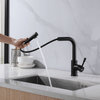 Klässich Köchin Commercial Pull-Out Sink Mixer - Matte Black