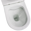 Vogue Vita Comfort Height Rimless Toilet Suite