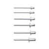 Akord Blind Rivet Assortment Kit - Pack of 110