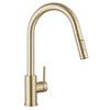 Klässich Linear II Pull-Out Sink Mixer - Brushed Brass